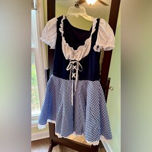 Fun October Fest/ costume dress.
